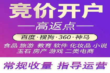 SEM竞价技巧：成功案例揭秘